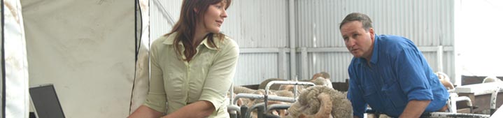 Know who does what in the business