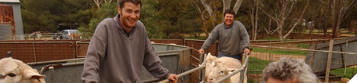 Develop a sound business purpose