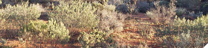 Assess enterprise change and new technologies