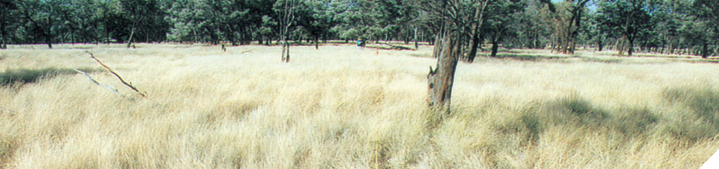 Establish business objectives and plans