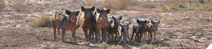 Assess enterprise change and new technologies