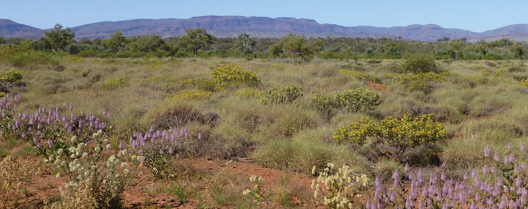 Include your family in your business planning