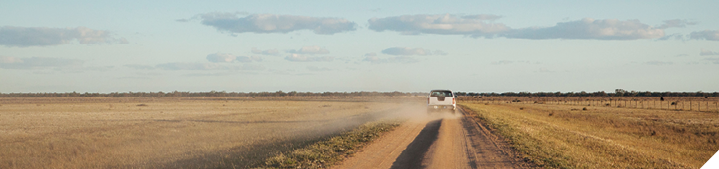 Establish business objectives and plans