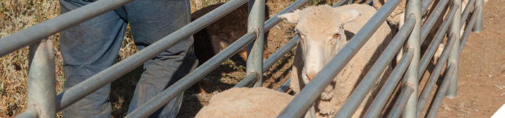 Compare your business performance against industry benchmarks