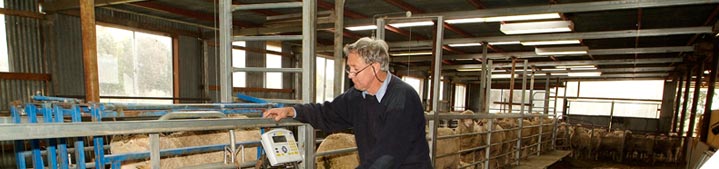 Identify the genetic opportunities to improve key production traits