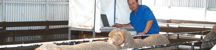 Select the best genetics for your business