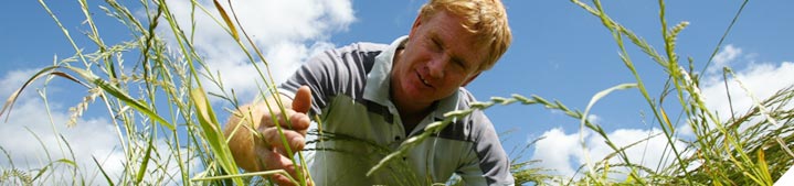 Build and maintain soil fertility