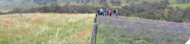 Graze to keep the desirable species productive and dominant