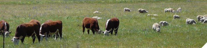 Implement a preventative health management program