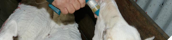 Manage sporadic outbreaks of diseases