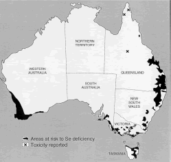 Risk of Selenium Deficiency