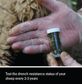 Drench Resistance Status