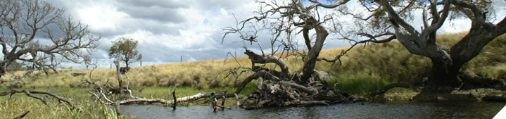 Climate Change and Greenhouse Issues