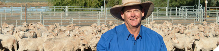 Easy Sheep Management