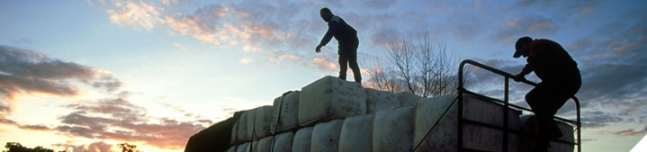 Maximise returns from your wool sales