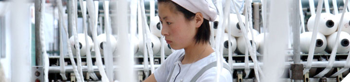 Use a customer focus to produce, harvest and prepare wool for sale