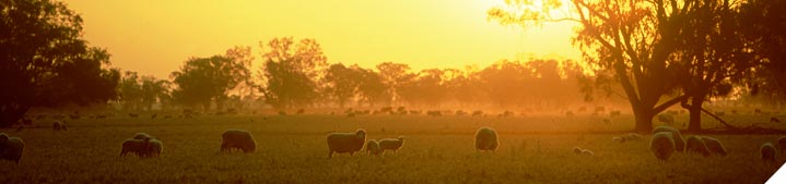 Establish business objectives and plans