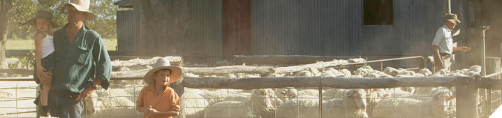 Calculate your cost of production per kg of meat or wool