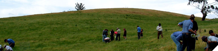 Compare your business performance against industry benchmarks