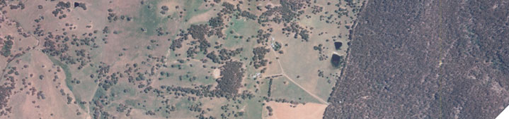 Plan the vision for your business and grazing enterprise