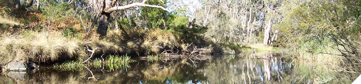 Prepare an inventory of your farms natural assets to achieve your vision