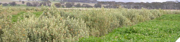 Know your feed supply