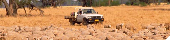 Match feed supply to