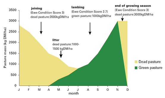 Managing the risk of increasing pasture utilisation is all about planning ahead