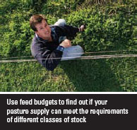 Feed Budgets